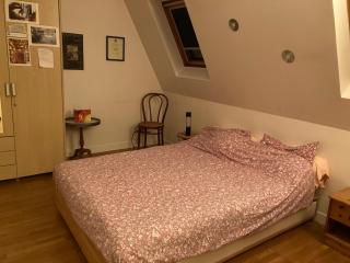 Chambre Avenue Foch - Parigi - 5