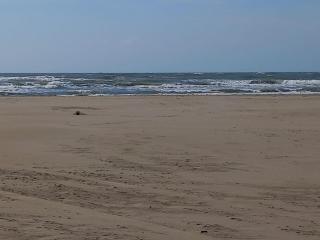 Sopraland 515, T2 parking piscine, 200m plage - 6