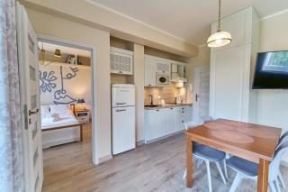 LAGUNA Willa Leśna 25 RETRO przy Parku Zdrojowym - 9