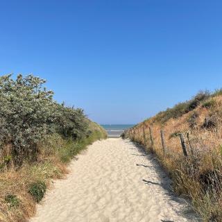 Penthouse studio met zeezicht - De Panne - 1