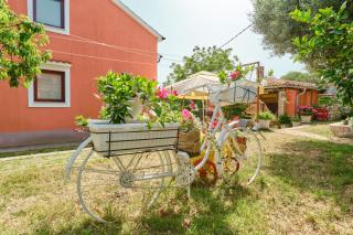 Apartment Cunski 7867c - Cunski - 2