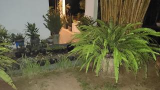 Nature Villa - Ihalagoda - 4