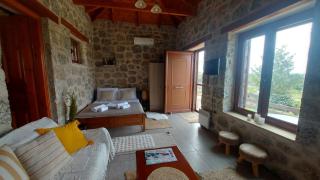 homonatura petrinum - 3