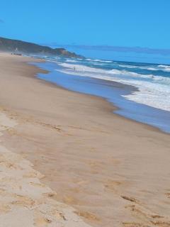 Anlyn seaside cabin - Apollo Bay - 8