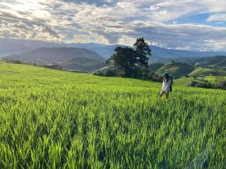 บ้านพักชิปู ป่าบงเปียง - Ban Mae Pan Noi - 9