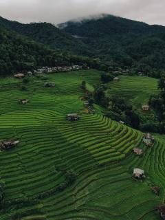 บ้านพักชิปู ป่าบงเปียง - Ban Mae Pan Noi - 8