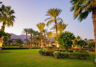 Nuweiba Club Resort - 2
