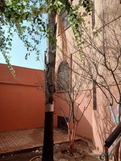 Villa Mima - Marrakesh - 2