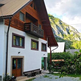 Pensiunea Piatra Mandrutului - Scărişoara - 6