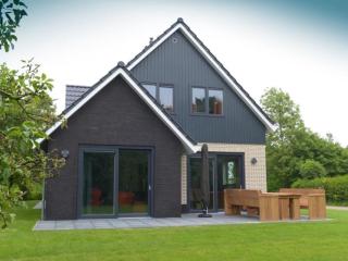 Duinbraam - Den Burg - 0