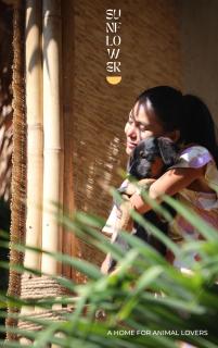 Sunflower Guesthouse and Animal Rescue - Koh Lipe - Ko Lipe - 9