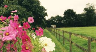 Mollies Hut - Frome - 6
