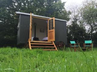 Mollies Hut - Frome - 9