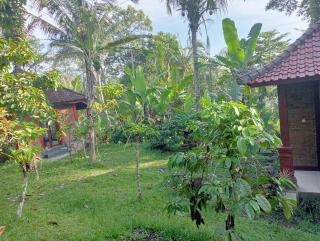 Purana Guest House - Tabanan - 8