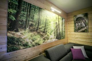 Domek całoroczny SÓWKA na Kaszubach z banią i sauną na wyłączność, wspólny basen i bilard z domkiem Jeleniówka - Ostrowite Leśna Dolina - 6