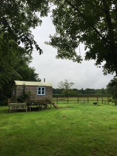Mollies Hut - Frome - 5