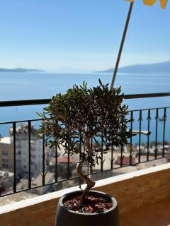 Lost At Sea - Saranda - 2