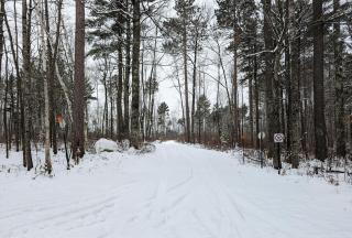 Loon Landing in Lake Tomahawk WI - 6
