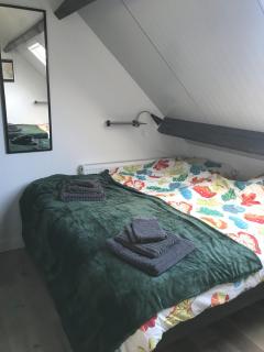 Boerderij de Zalm - Schalkwijk - 9