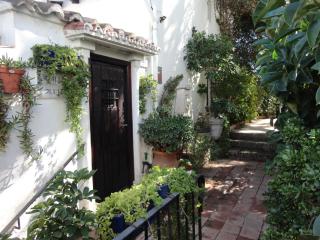 Casa Polo - Marbella - 0