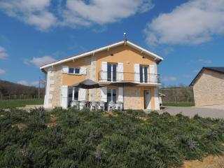 Domaine de Balesta - Roquefort-sur-Garonne - 8