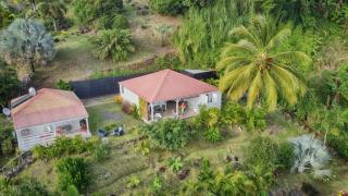 Le Bananier Rouge - 6