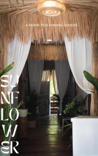 Sunflower Guesthouse and Animal Rescue - Koh Lipe - Ko Lipe - 4