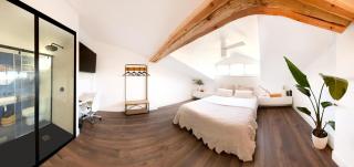 Luxury Pintoreria Atico - Vitoria-Gasteiz - 8