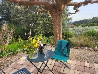 Maison d'artiste African queen - Cotignac - 3