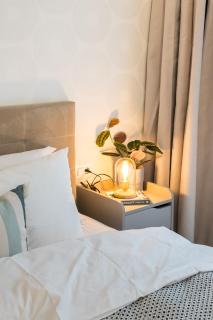 BOTANlQUE 1BR in Business Centre - Bucarest - 5