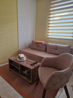 Apartman Ksenija - Pale - 6