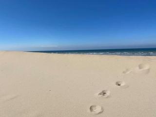 Le Roulis De Panne - De Panne - 8
