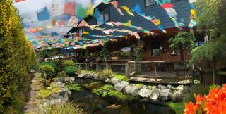 Casa Azul Hostel - 9