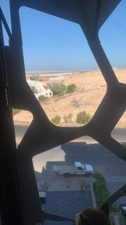 Sphinx - Hurghada - 2