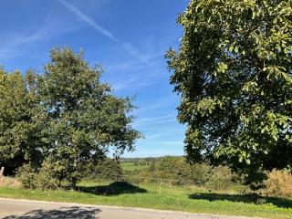 B&B at 3 La Brionniere - Saint-Pierre-du-Chemin - 8
