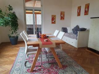 Neu renovierte Altbauwohnung im Herzen von Steyr 100qm - Steyr - 5