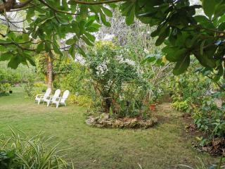 LightHaus DP Garden Resort - Siquijor - 2