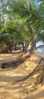 Rumah Seruni@Zaki's Residence - 5