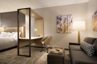 SpringHill Suites by Marriott Allentown Bethlehem/Center Valley - 2