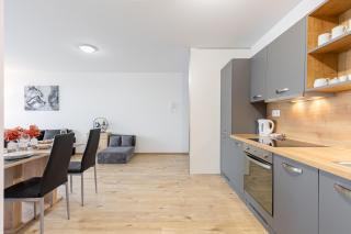 Sunny Haven: Modern 2BR,Garage, WiFi,Stream - Bratislava - 2
