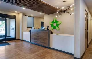 Extended Stay America Premier Suites - Port Charlotte - I-75 - Port Charlotte - 6