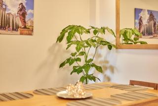 5STARHOMES - Comodidad y encanto en Laureles - Medellín - 4
