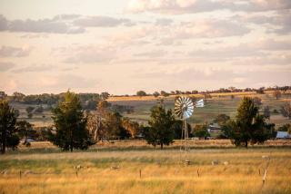 The Ithaca Farm Experience - A Unique Mudgee Escape - Mudgee - 7
