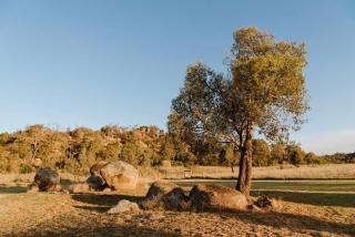 The Ithaca Farm Experience - A Unique Mudgee Escape - Mudgee - 8