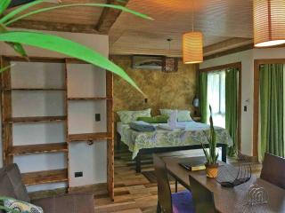 #10 Stylish Rustic Studio XL - Fortuna - 0