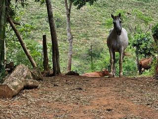 Rancho Membeca - Paraíba do Sul - 5