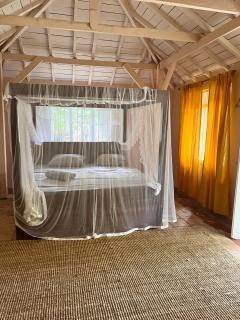 Cabana Capybara - 3