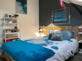 Chambre + SdB privative - Orléans - 2