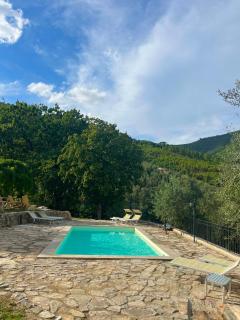 Agriturismo Campo dei Lupi - Vicopisano - 5