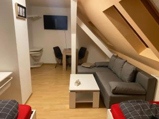 FeWo WIEKO Plauen Leibnizstr. H3, DG rechts - Plauen - 4